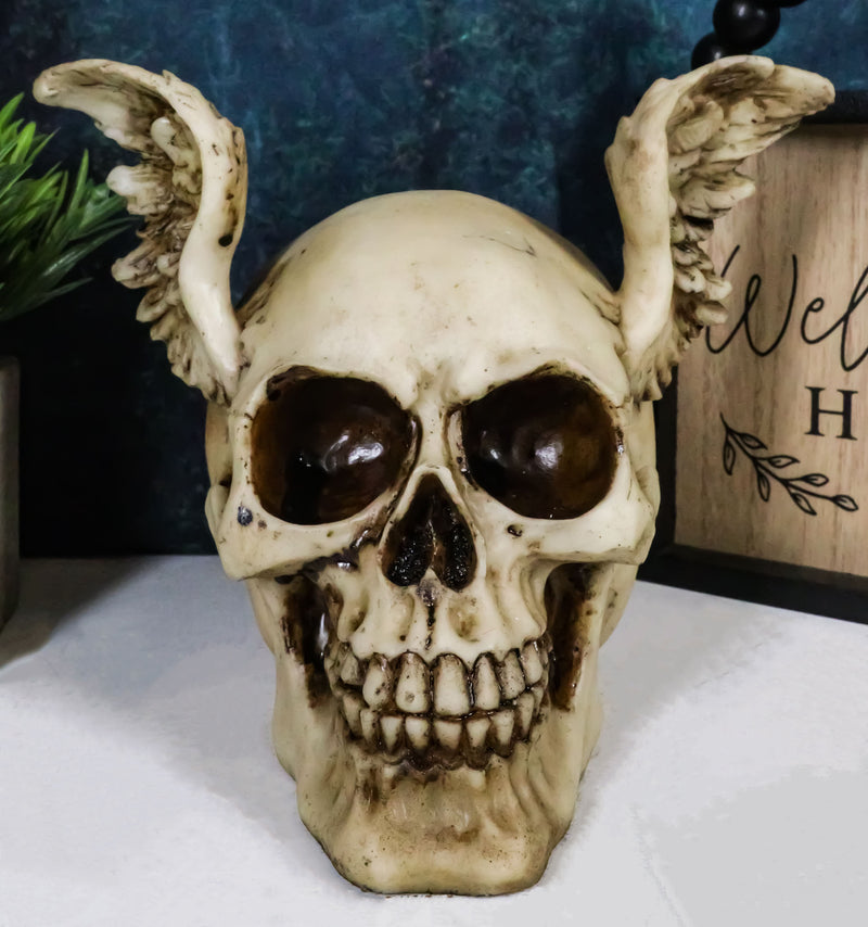 Ebros Day Of The Dead Guardian Angel Winged Skull Statue Time Waits For No Man Figure