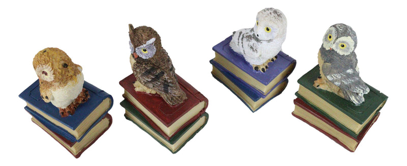 Wisdom Of The Forest Bibliography Owls Sitting On Books Figurine Owl Set Decors