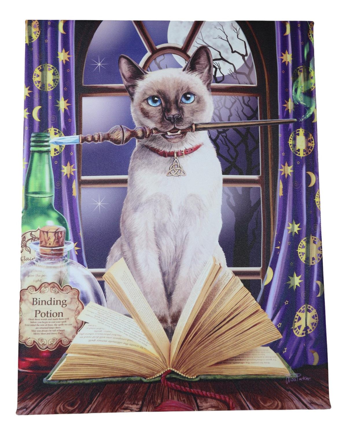 Witch Hocus Pocus Magic Wand Cat With Spellbook Wood Framed Canvas Wall Decor - Ebros Gift