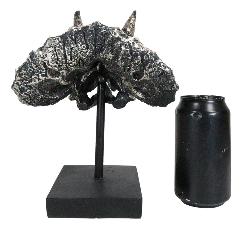 Jurassic '3 Horns' Triceratops Dinosaur Fossil Skeleton Statue With Stand 9"L