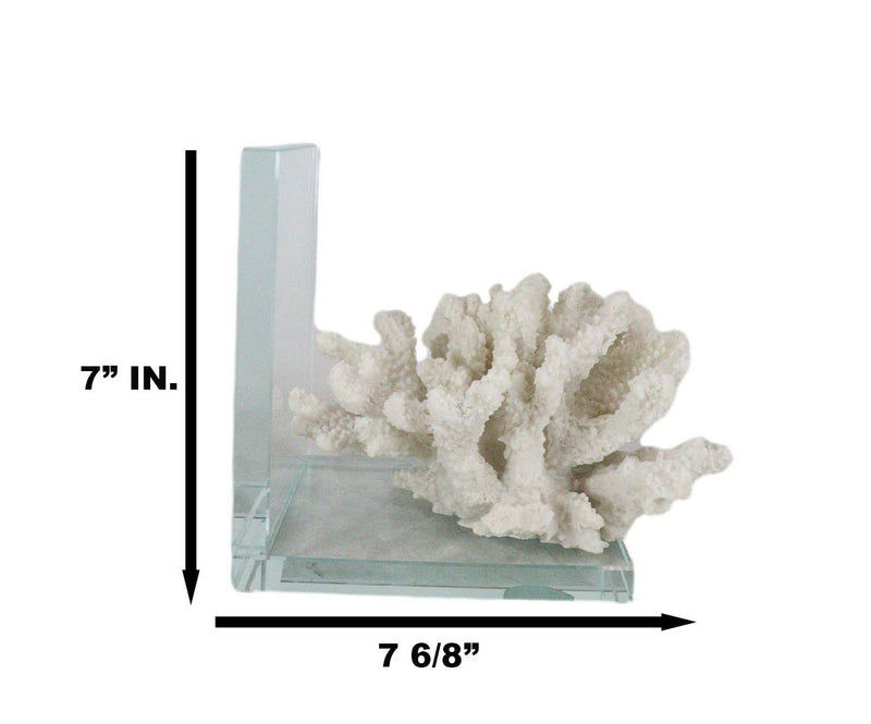 Nautical Coastal Marine White Sea Finger Corals Acrylic Glass Bookends Set