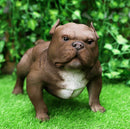 Ebros Animal World Realistic American Bully Dog Home Decor Resin Figurine 18"L