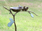 Romantic Lovebirds By Nest On Branch Twigs Aluminum Garden Stake Bird Feeder