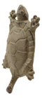 Ebros Gift 5.75" Tall Nautical Ocean Sea Turtle Cast Iron Rustic Wall Coat Keys Leashes Hats (4)