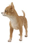 Lifelike Shorthair Deer Head Chihuahua Dog Statue 9.5"Long With Glass Eyes