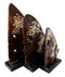 Balinese Wood Handicrafts Tropical Crown Angel Fish Family Set of 3 Figurines