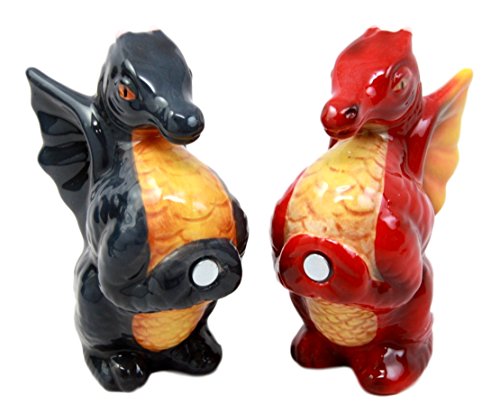 Ebros Twin Feng Shui Yin Yang Dragons Ceramic Magnetic Salt Pepper Shakers Set