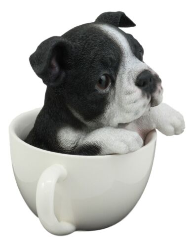 Ebros Realistic Boston Terrier Teacup Statue Pet Pal Tuxedo Gentleman Dog Figurine