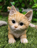 Pet Pal Playful Crouching Feline Orange Tabby Cat Kitten Figurine W/ Glass Eyes