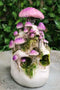 Day of The Dead Gothic Macabre Skull With Purple Fungi Mushrooms Figurine