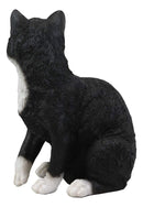 Ebros Lifelike Sitting Tuxedo Black and White Cat with Paw Up Statue 10.25" Tall Realistic Glass Eyes Hand Painted Feline Cats Kittens Kitties Animal Pet Sculpture Decor Figurine