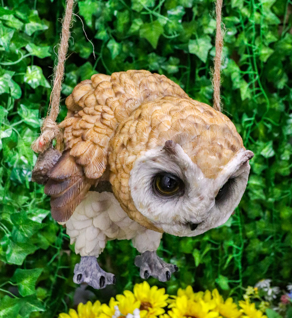 Lifelike Brown Barn Owl Baby Owlet On Branch Swing Hanger Wall Decor Figurine - Ebros Gift