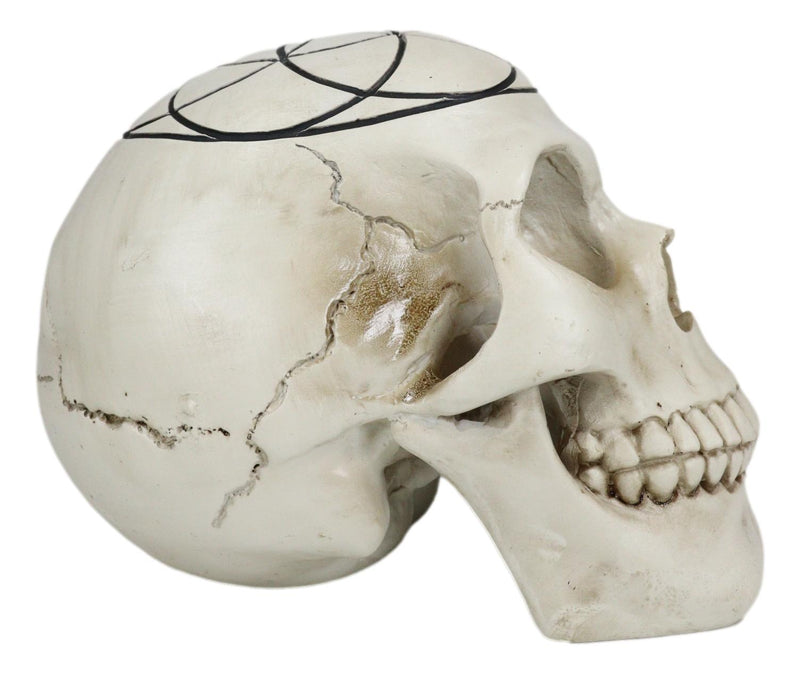 Gothic Sacred Geometry Seed Of Life Earth Creation Cosmic Energy Skull Figurine