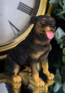Cute Sitting Rottie Rottweiler Puppy Dog Dollhouse Miniature Figurine Pet Pal