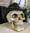 Western Cowboy Rodeo Skull Statue 6.75"Long Day Of The Dead Skull Figurine
