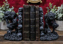 Gothic Notre Dame Dark Knights Growling Werewolves Bookends Figurine Set 6.25"H