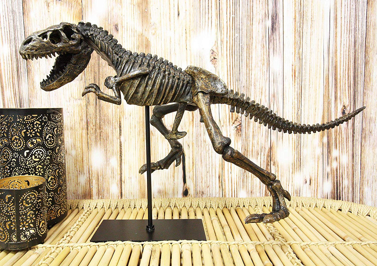 Ebros  Jurassic Dinosaur Tyrannosaurus Rex Fossil Skeleton Statue On Museum Mount 24"L - Ebros Gift