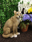 Large Realistic Lifelike Mountain Lion Cougar Sitting in Repose Statue 20" Tall