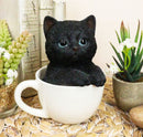 Lifelike Adorable Black Kitten Cat in White Tea Cup Pet Pal Figurine 5.75" Tall