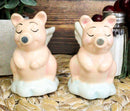 Ceramic When Pigs Fly Angel Pig Couple On Clouds Kissing Salt And Pepper Shakers