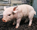 Large Adorable Realistic Animal Farm Babe Pig Piglet Statue 15"L Rustic Decor