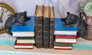 Ebros Rustic Wildlife Bear Cubs Climbing Stack Of Books Bookends 2 Figurine Set