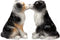 Dog Australian Shepherd Salt & Pepper Shakers Ceramic Magnetic Figurine Set 3"L