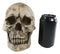 Ebros Large Ossuary Adult Homosapien Skull Decorative Figurine 8.5"L