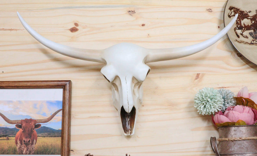 Rustic Western Texas White Longhorn Steer Cattle Cow Skull Wall Decor ...