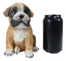 Lifelike Fawn Boxer Puppy Dog Sitting Figurine Pet Pal Pedigree Dogs Canine
