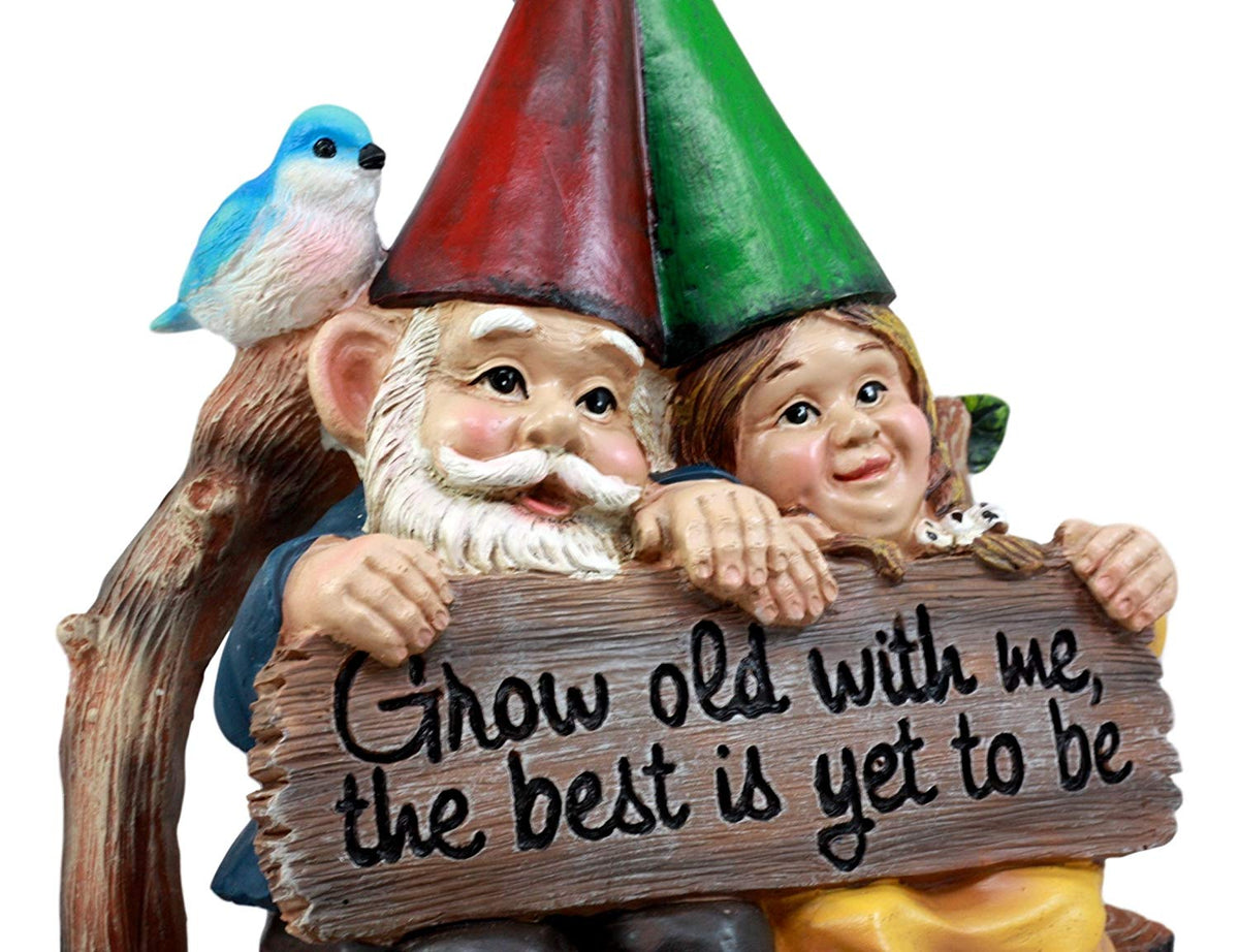 Ebros Gift Whimsical Mr & Mrs Gnome Sitting On Rustic Chair with Blue Bird Statue Grow Old with Me Guest Greeter Patio - Ebros Gift