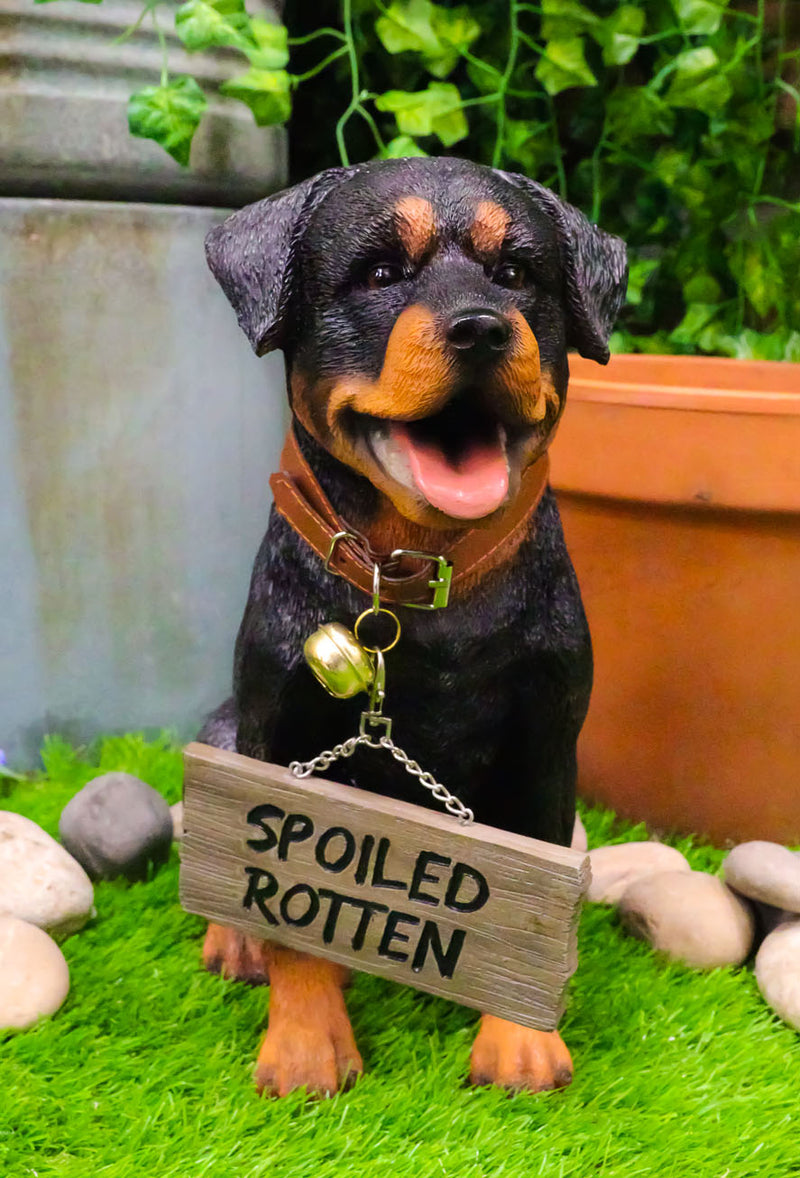 Guest Welcome Realistic Rottweiler Dog With Jingle Collar Sign Decor Statue 13"H