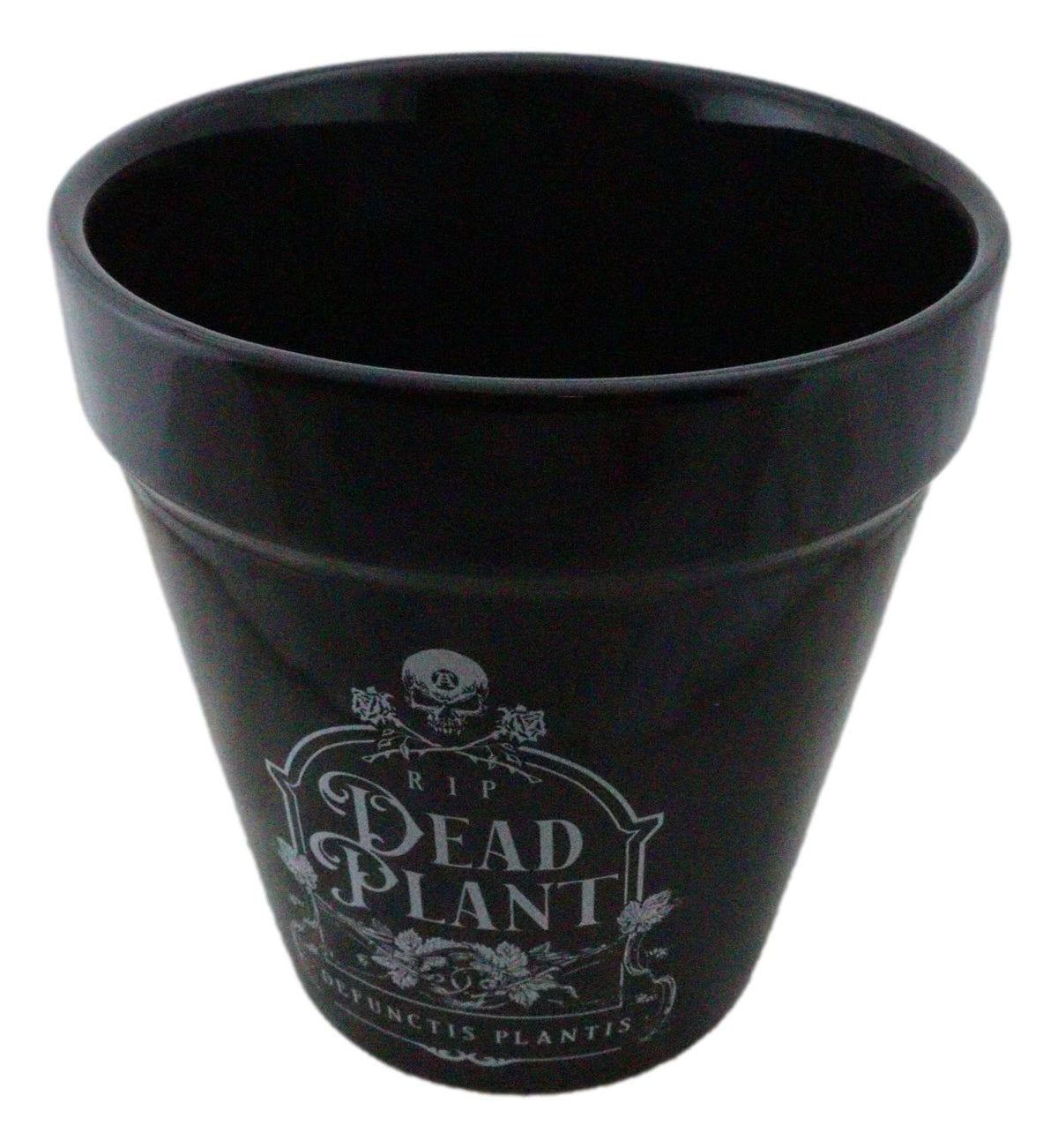 Dead Plant RIP Skull Grave Tombstone Wicca Witch Flower Herbs Planter Pot - Ebros Gift
