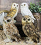 Realistic Colorful Nocturnal Snowy Barn Great Horned Owl Birds Figurine Set of 4