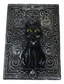 Fortune Telling Triple Moon Black Cat Wicca Tarot Cards Decorative Box Figurine