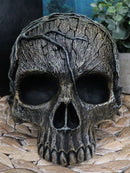 Ebros Tree Spirit Dryad Skull Collectible Figurine Desktop Home Decor 4.5H