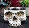 Metaphysical Positive Energy Wicca Spiritual Divinity Skull Smudge Smudging Bowl
