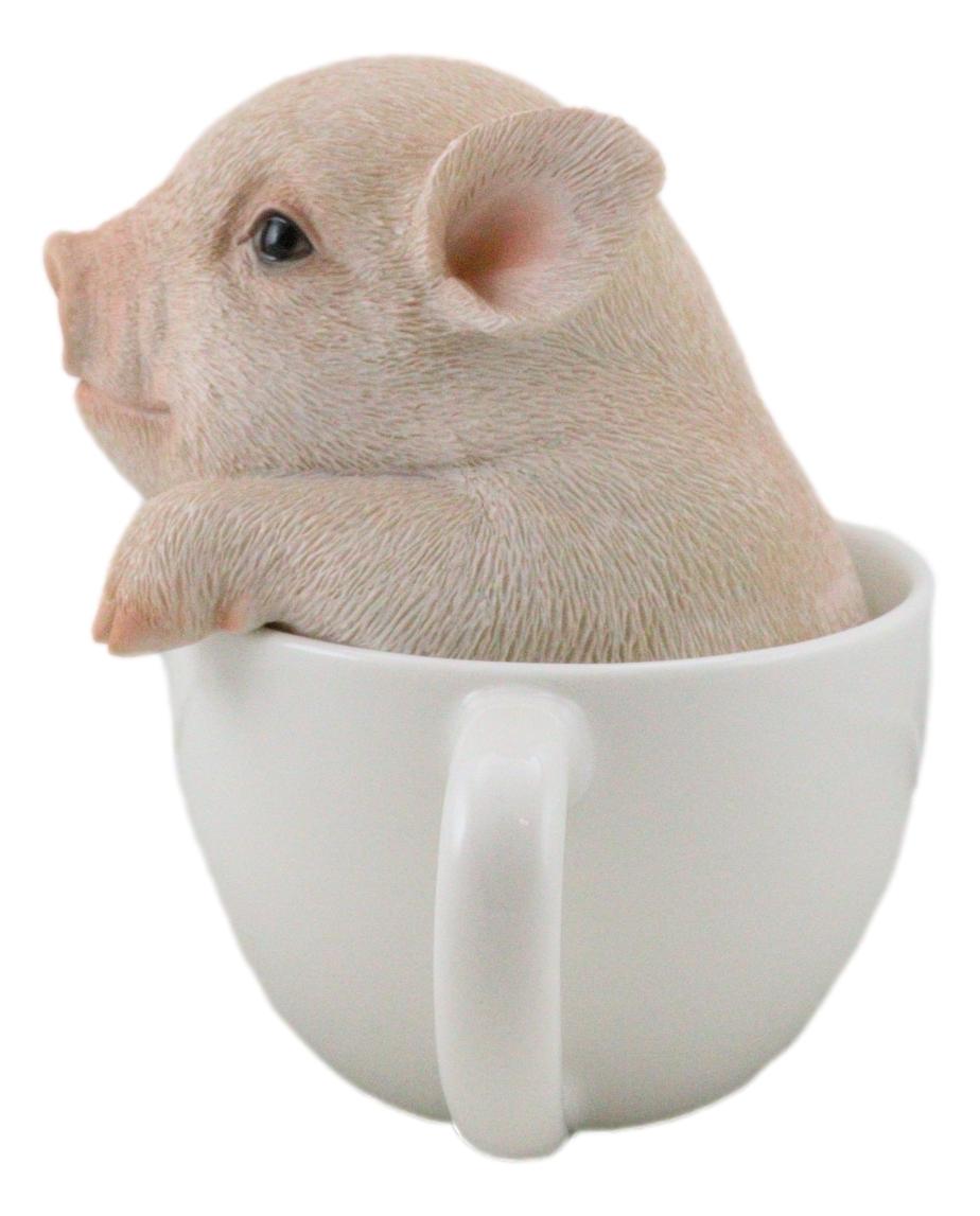 Ebros Adorable Teacup Pig 5.25"H Realistic Animal Collectible Statue with Glass Eyes - Ebros Gift