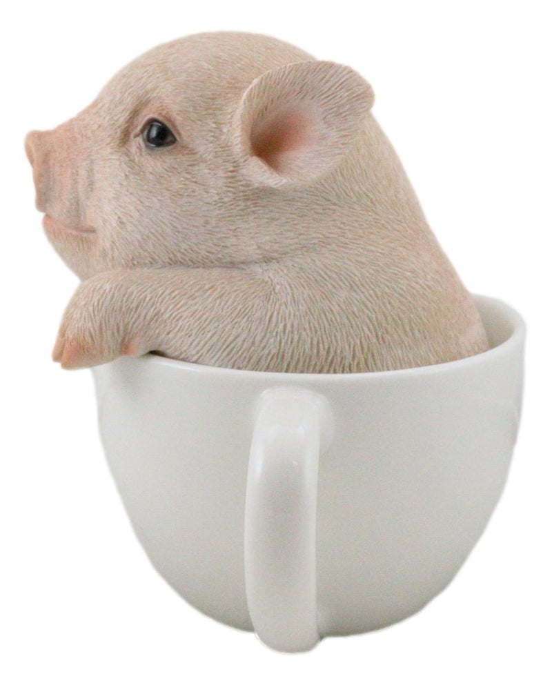 Ebros Adorable Teacup Pig 5.25"H Realistic Animal Collectible Statue with Glass Eyes