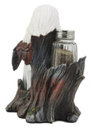 Ebros Patriotic American Bald Eagle Glass Salt & Pepper Shakers Holder Figurine Set