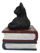 Wicca Mystical Black Cat Sitting On Book Of Spells Stack Decorative Jewelry Box