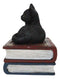 Wicca Mystical Black Cat Sitting On Book Of Spells Stack Decorative Jewelry Box