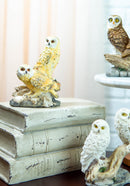 Colorful Barn Great Horned Snowy & Screech Owl Perching On Branch Figurine Set