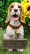 Tan And White English Cocker Spaniel Dog With Welcome Jingle Collar Sign Statue