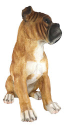 Large 16"H Adorable Realistic Sitting Fawn Boxer Muscle Dog Decorative Statue