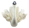 Ebros Fiona Walker England Handmade Organic Baby Winged Swan Head Wall Decor