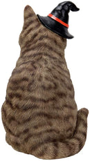 Ebros Gray Tabby Cat with Wizard Witches Hat Collectible Home Decor Figurine