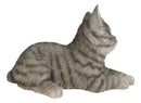 Resting Feline Gray Tabby Cat Kitten Figurine With Realistic Glass Eyes Decor