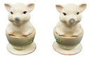 Ebros  Couple Kissing Teacup Miniature Pigs Hog Heavens Ceramic Salt Pepper Shaker Set