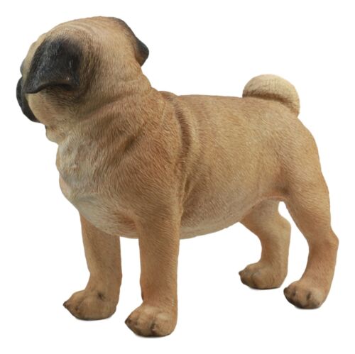 Ebros Large Realistic Fawn Pug Dog Statue 12"L Fine Pedigree Dog Breed Pugsy